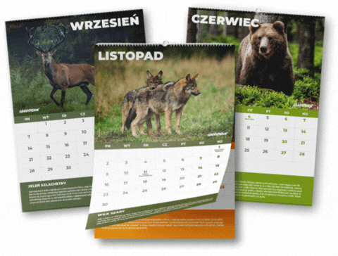 Prezent w podziękowaniu za adopcję zwierzaka